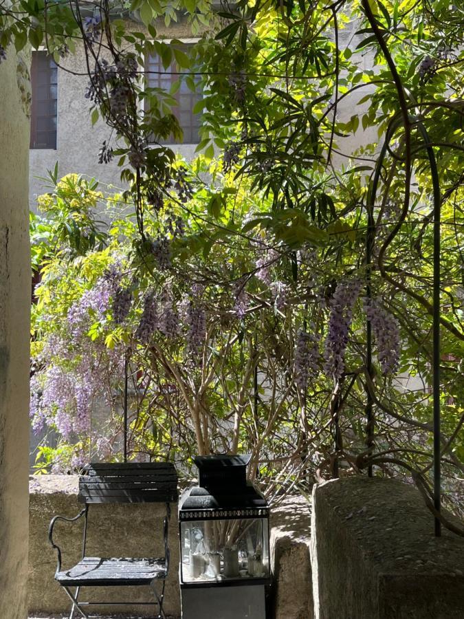 Face Au Palais Bed & Breakfast Авиньон Екстериор снимка